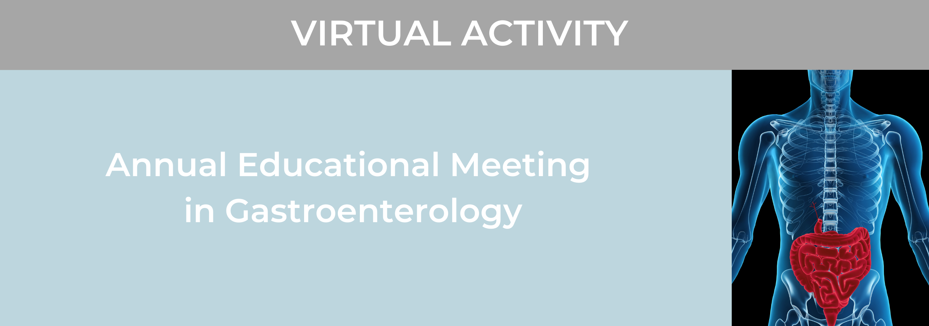 21st Annual Educational Meeting in Gastroenterology Banner